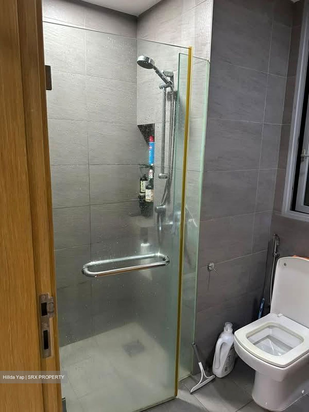 Coralis (D15), Condominium #581046131